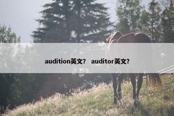 audition英文？ auditor英文？
