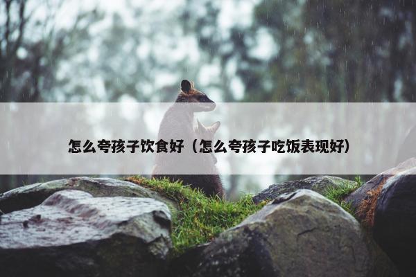 怎么夸孩子饮食好（怎么夸孩子吃饭表现好）
