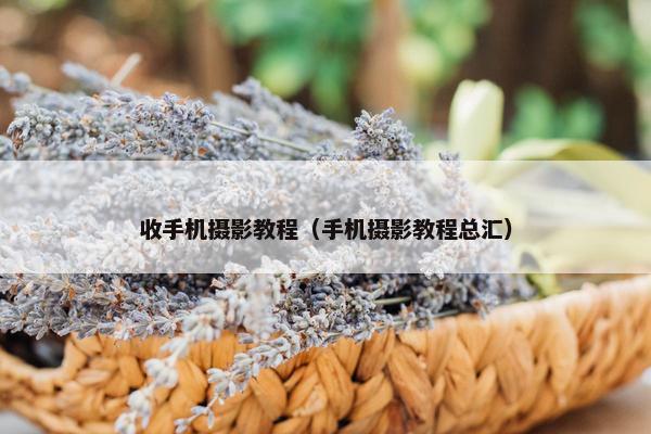 收手机摄影教程（手机摄影教程总汇）