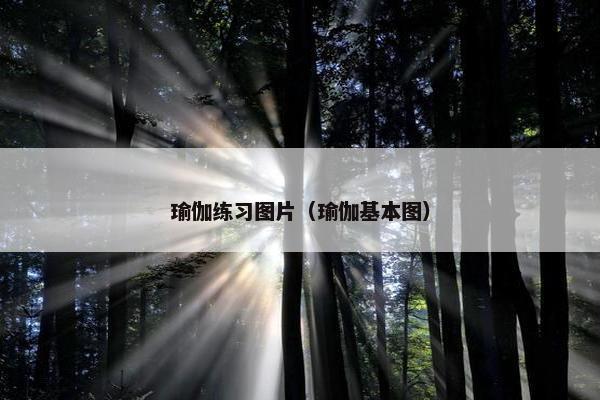 瑜伽练习图片（瑜伽基本图）