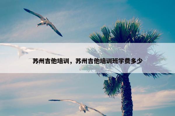 苏州吉他培训，苏州吉他培训班学费多少