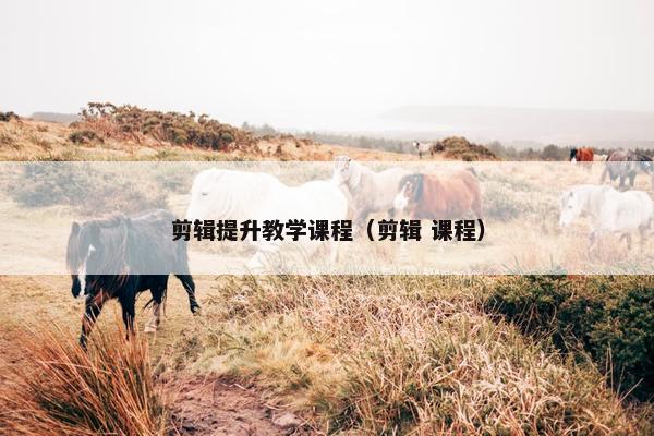 剪辑提升教学课程（剪辑 课程）