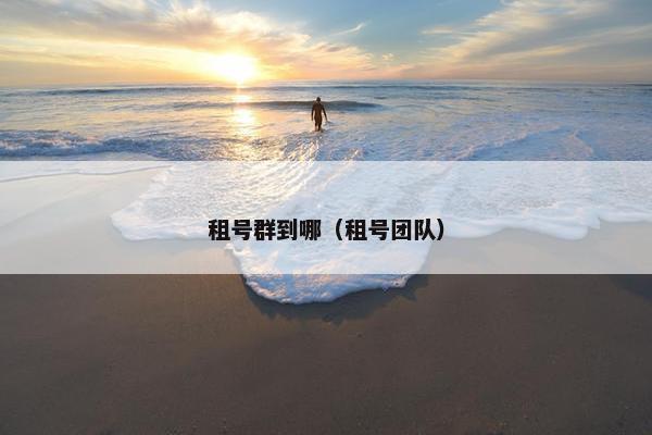 租号群到哪（租号团队）