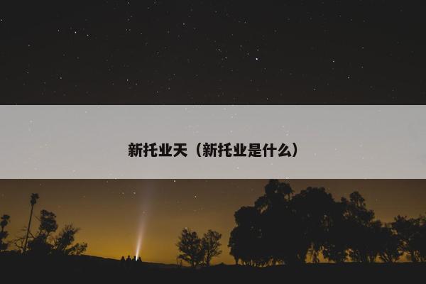 新托业天（新托业是什么）