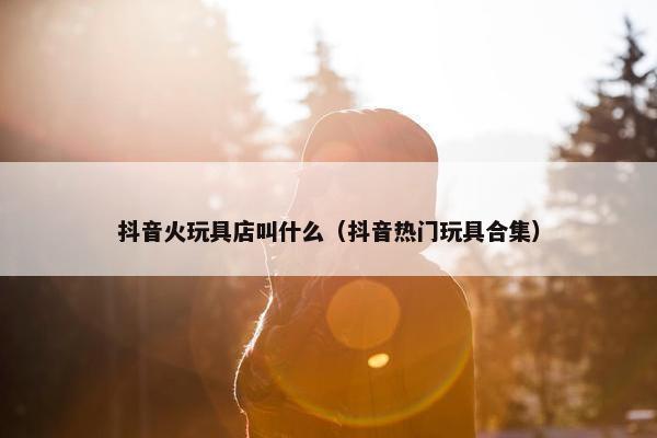 抖音火玩具店叫什么（抖音热门玩具合集）