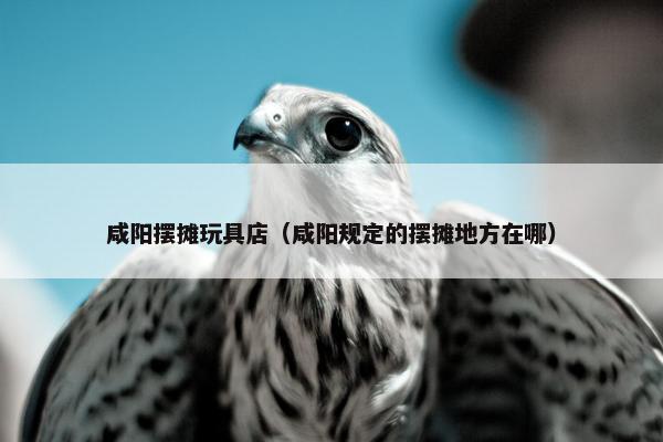 咸阳摆摊玩具店（咸阳规定的摆摊地方在哪）
