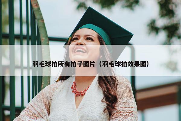 羽毛球拍所有拍子图片（羽毛球拍效果图）