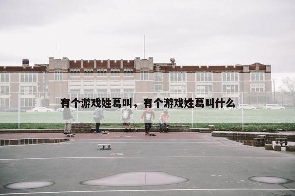 有个游戏姓葛叫，有个游戏姓葛叫什么