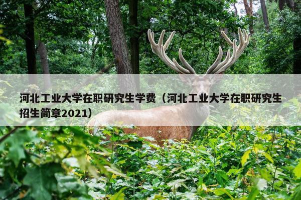 河北工业大学在职研究生学费（河北工业大学在职研究生招生简章2021）