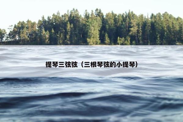 提琴三弦弦（三根琴弦的小提琴）