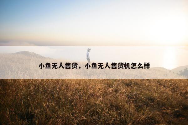小鱼无人售货，小鱼无人售货机怎么样
