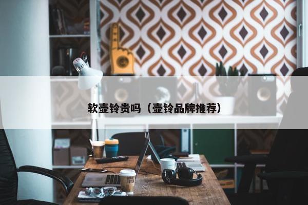 软壶铃贵吗（壶铃品牌推荐）