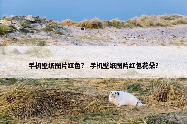 手机壁纸图片红色？ 手机壁纸图片红色花朵？