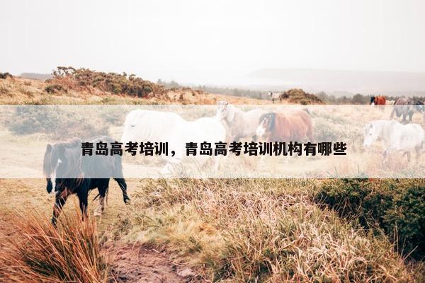 青岛高考培训，青岛高考培训机构有哪些