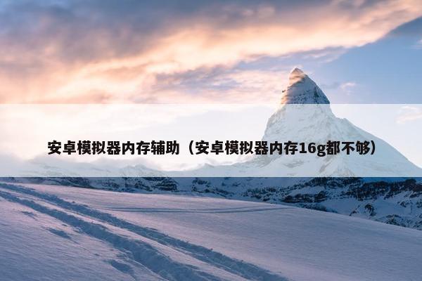 安卓模拟器内存辅助（安卓模拟器内存16g都不够）