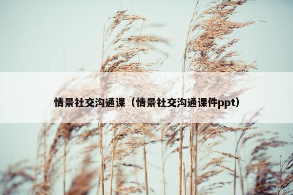 情景社交沟通课（情景社交沟通课件ppt）