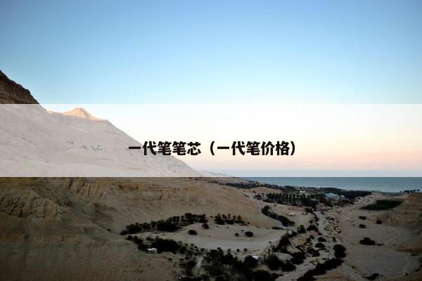 一代笔笔芯（一代笔价格）