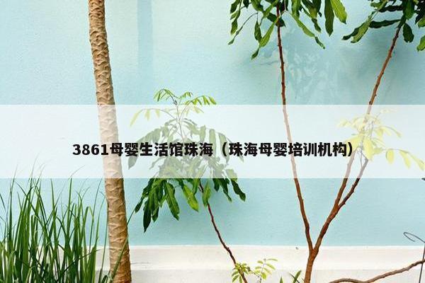 3861母婴生活馆珠海（珠海母婴培训机构）