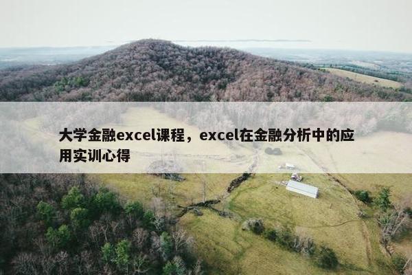 大学金融excel课程，excel在金融分析中的应用实训心得