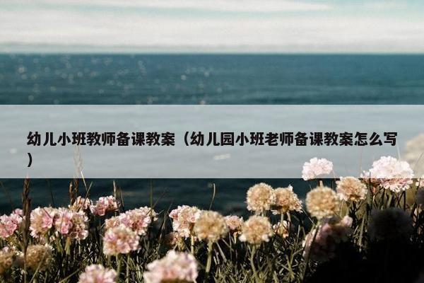 幼儿小班教师备课教案（幼儿园小班老师备课教案怎么写）