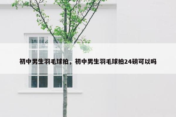 初中男生羽毛球拍，初中男生羽毛球拍24磅可以吗
