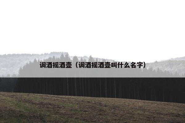 调酒摇酒壶（调酒摇酒壶叫什么名字）