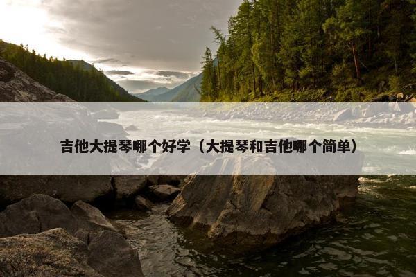 吉他大提琴哪个好学（大提琴和吉他哪个简单）