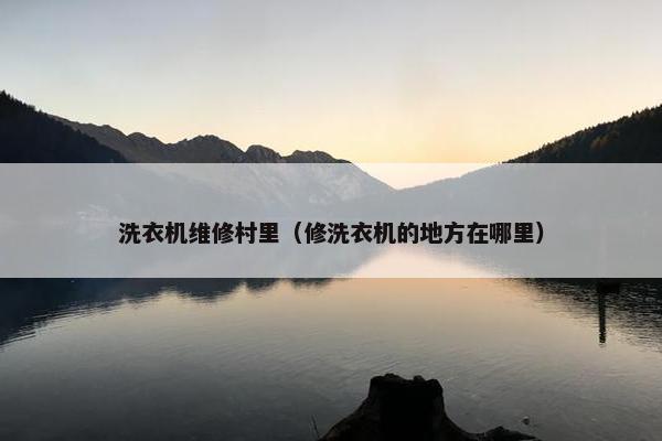 洗衣机维修村里（修洗衣机的地方在哪里）