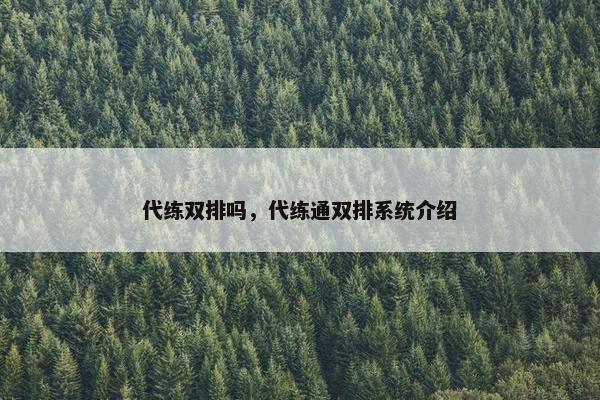 代练双排吗，代练通双排系统介绍