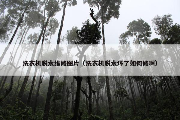 洗衣机脱水维修图片（洗衣机脱水坏了如何修啊）