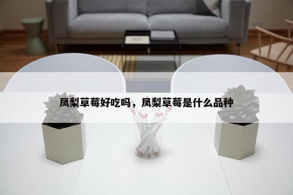 凤梨草莓好吃吗，凤梨草莓是什么品种