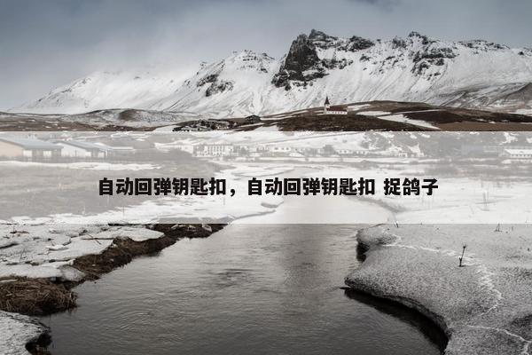自动回弹钥匙扣，自动回弹钥匙扣 捉鸽子
