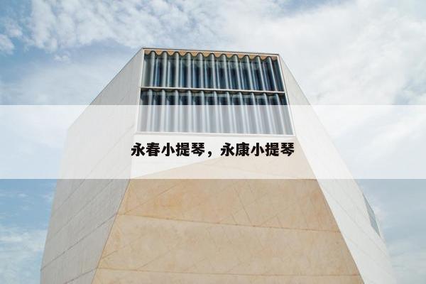 永春小提琴，永康小提琴