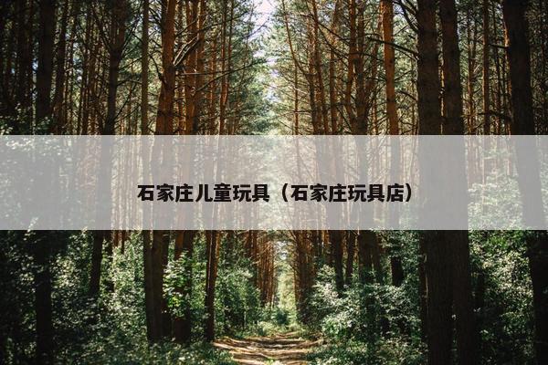 石家庄儿童玩具（石家庄玩具店）