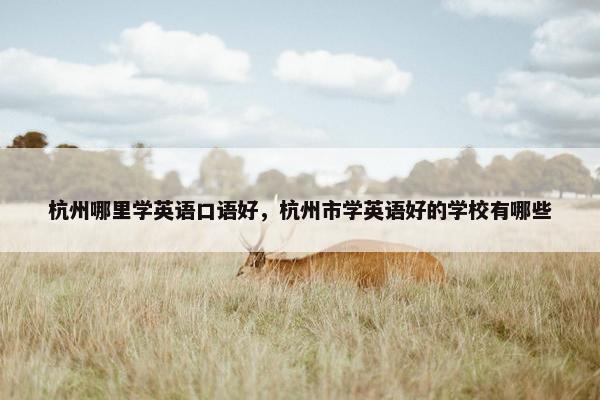 杭州哪里学英语口语好，杭州市学英语好的学校有哪些