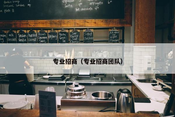 专业招商（专业招商团队）