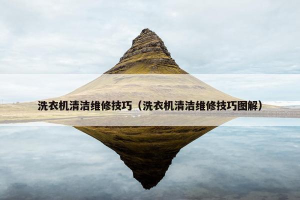 洗衣机清洁维修技巧（洗衣机清洁维修技巧图解）