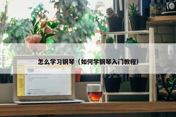 怎么学习钢琴（如何学钢琴入门教程）