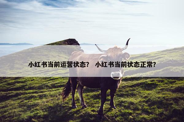 小红书当前运营状态？ 小红书当前状态正常？