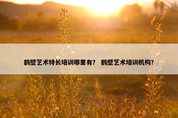 鹤壁艺术特长培训哪里有？ 鹤壁艺术培训机构？