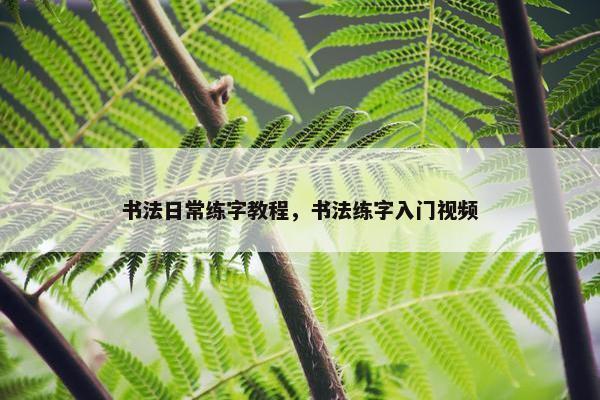 书法日常练字教程，书法练字入门视频