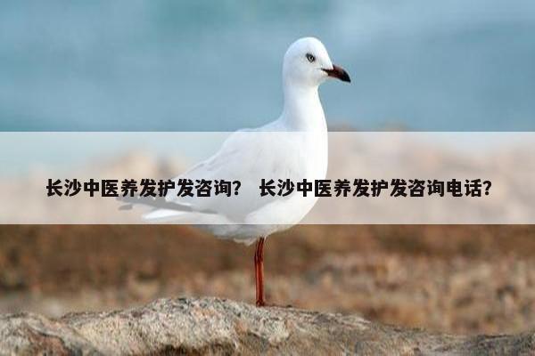 长沙中医养发护发咨询？ 长沙中医养发护发咨询电话？