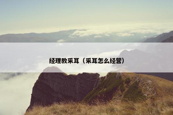 经理教采耳（采耳怎么经营）