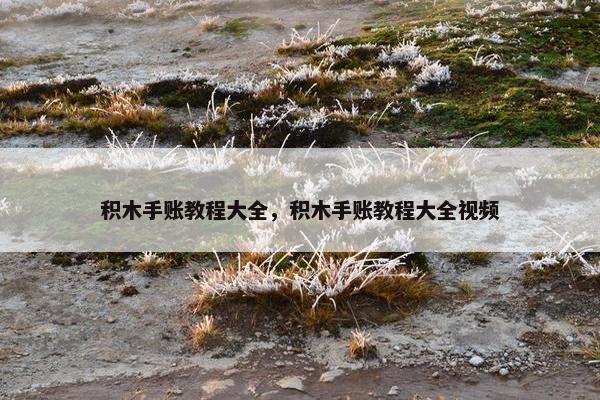 积木手账教程大全，积木手账教程大全视频