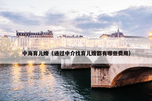 中海育儿嫂（通过中介找育儿嫂都有哪些费用）