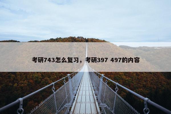 考研743怎么复习，考研397 497的内容