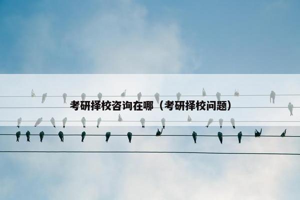 考研择校咨询在哪（考研择校问题）