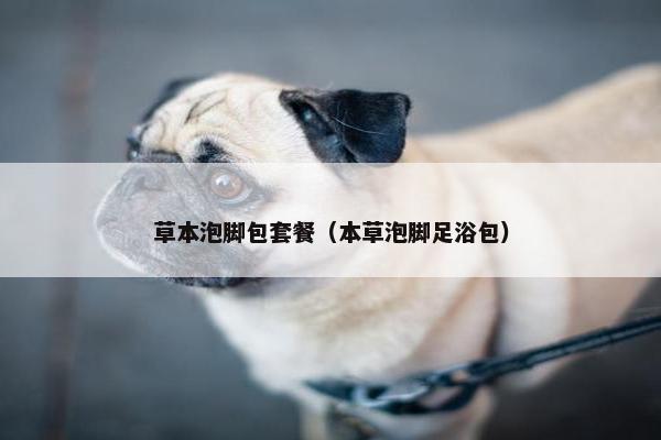 草本泡脚包套餐（本草泡脚足浴包）