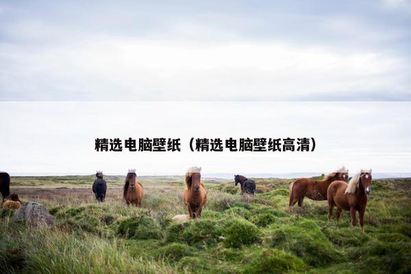 精选电脑壁纸（精选电脑壁纸高清）