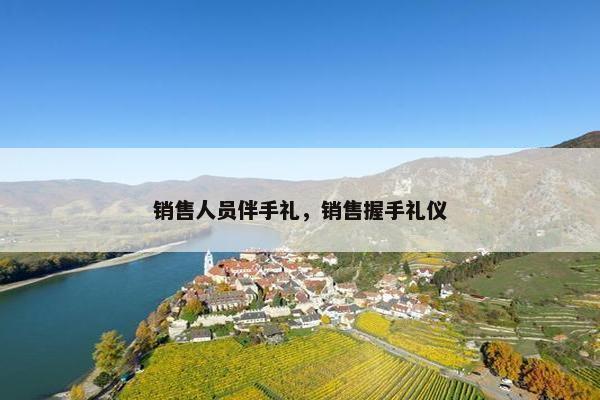 销售人员伴手礼，销售握手礼仪